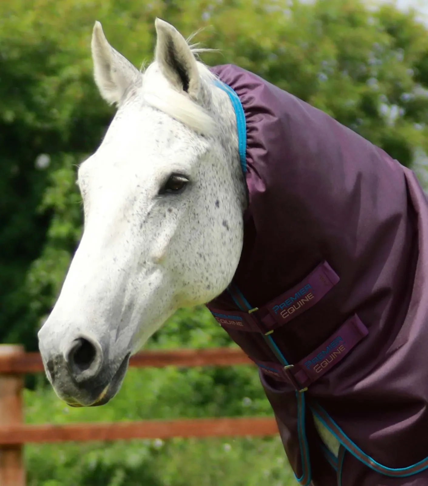 Titan 200g Neck Cover (200g Fill) Purple