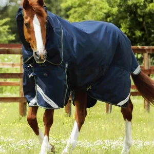 Titan 40g Turnout Rug with Snug-Fit Neck Cover Navy