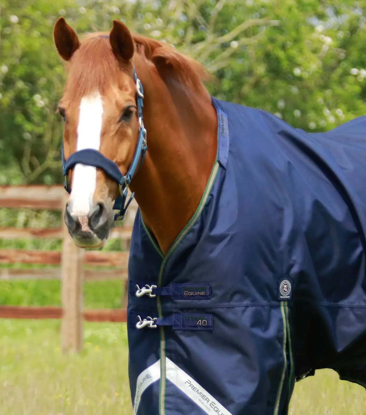 Titan 40g Turnout Rug with Snug-Fit Neck Cover Navy - Image 2