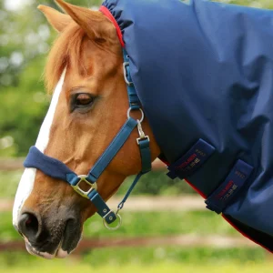 Titan 450g Neck Cover (200g Fill) Navy