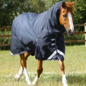 Titan Storm 200g Combo Turnout Rug with Snug-Fit Neck Navy