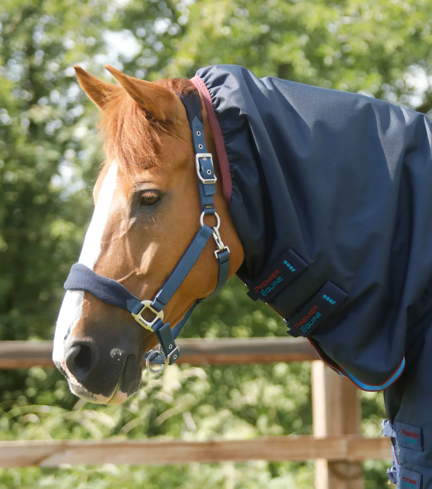 Titan Storm 200g Combo Turnout Rug with Snug-Fit Neck Navy - Image 2