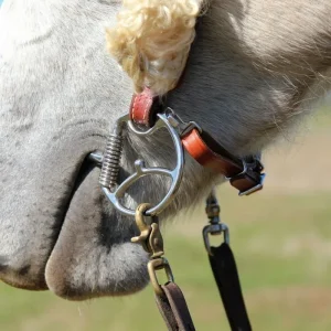Toklat Curb Hooks For Cheeks With Hooks Pair Brn