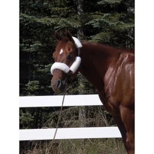 Toklat Woolback Noseband Halter Tube SetBrn