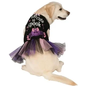 Too Cute To Spook Halloween Dog Costume Multicolor