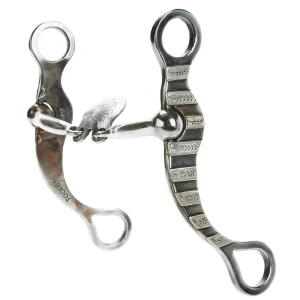 Tooley Bits Spurs Buckles Spade with Silver Bars Bit