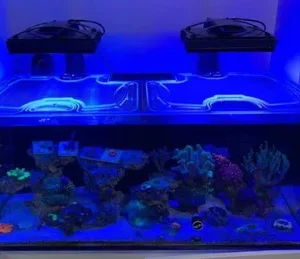 Top-Lids Reefer 425 poly