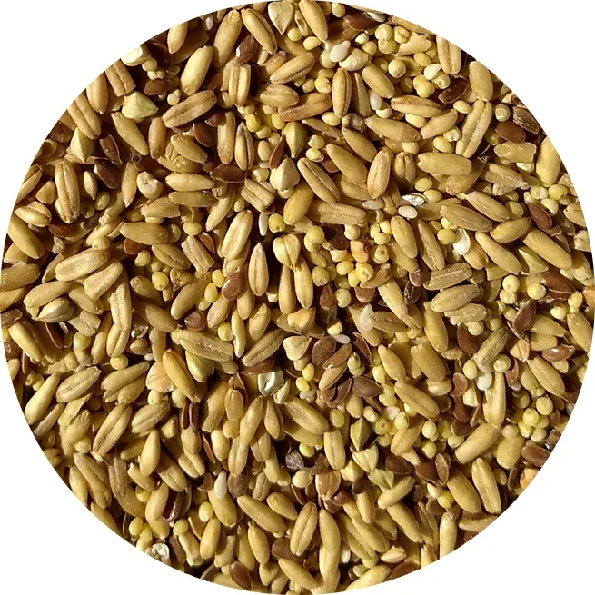 TOP's Napoleon's Seed Mix - Image 2