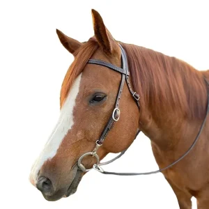 Tory Dark Harness Brow Band Headstall with Snaps