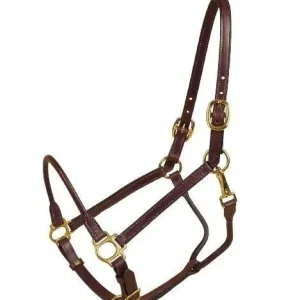 Tory Halter - Rolled Nose And Throat Cob Havana