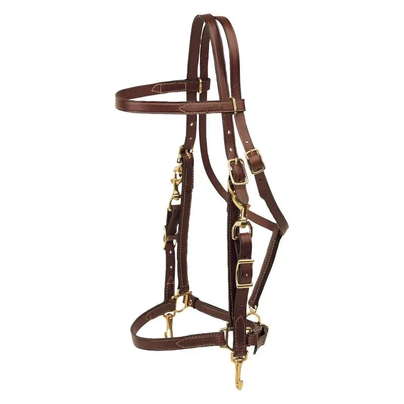 Tory Halter Trail Bridle