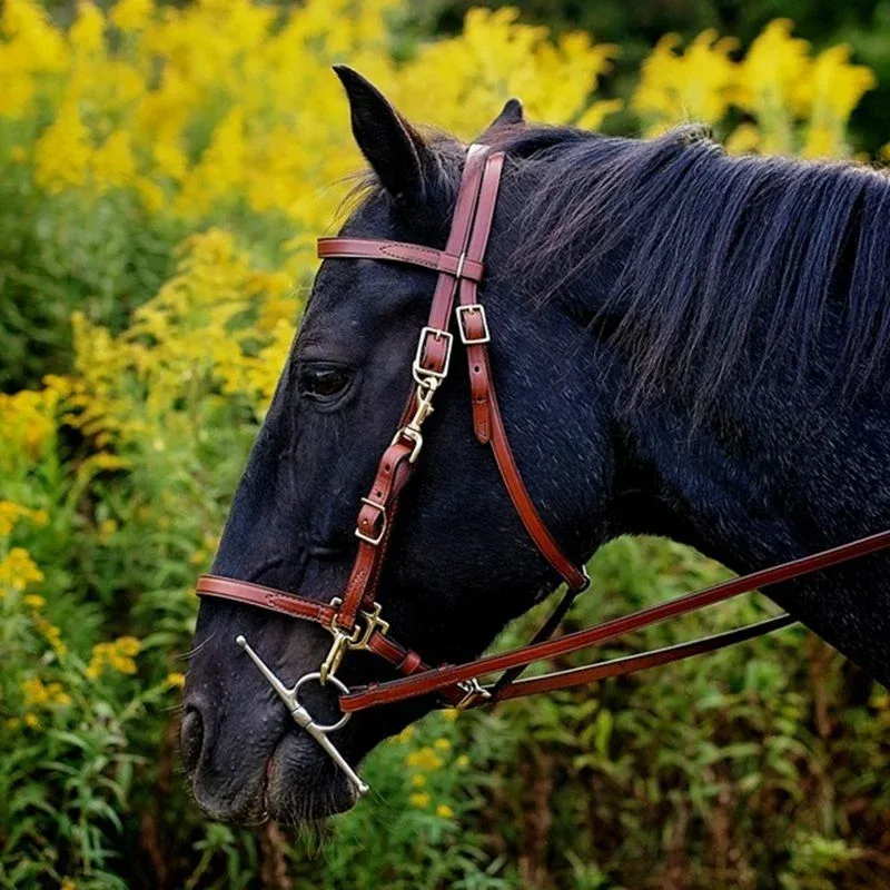 Tory Halter Trail Bridle - Image 2