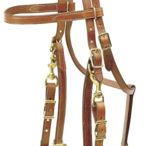Tory Harness Leather Trail Bridle