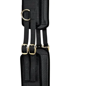 Tory Neoprene Training Surcingle