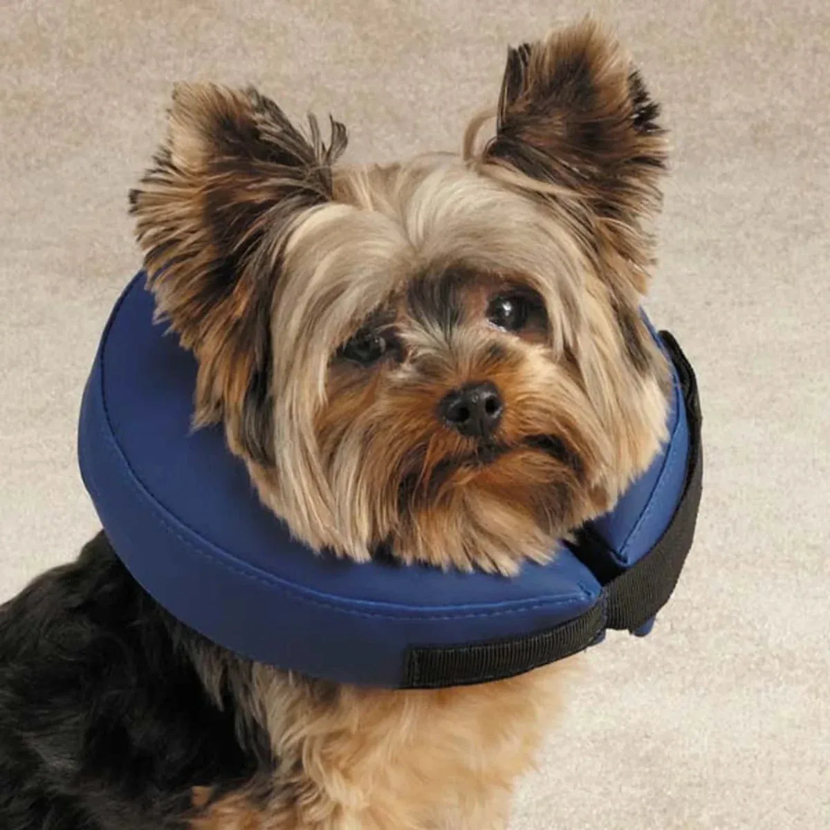 Total Pet Health Inflatable Dog Collar - X-Small to Large