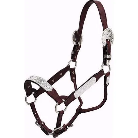 Tough 1 Newberry Show Halter