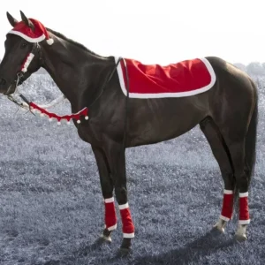 Tough1 5 Piece Western Holiday Set Santa