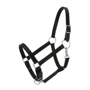 Tough1 Leather Draft Stable Halter