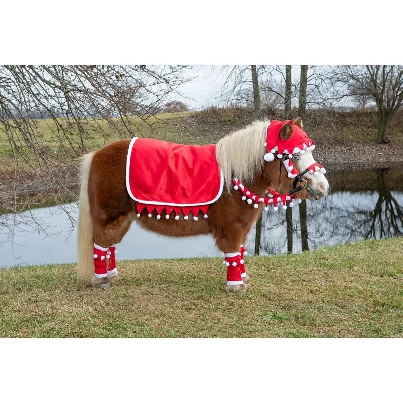 Tough1 Mini 5 Piece English Santa Set - Image 2