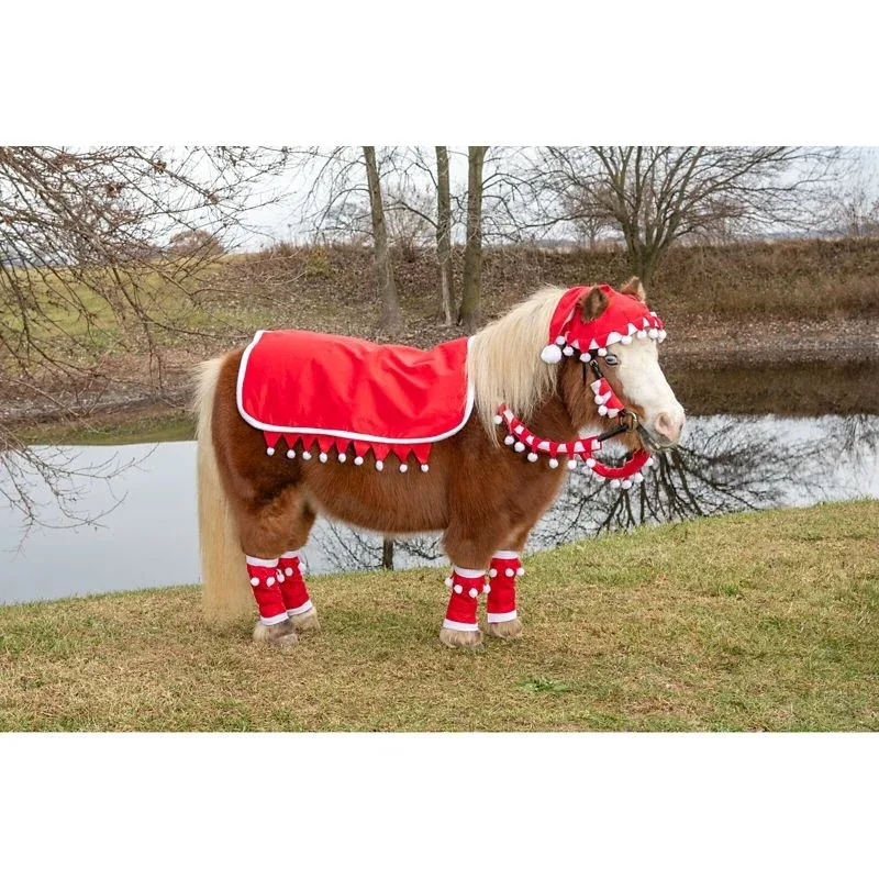 Tough1 Mini 5 Piece Western Santa Set - Image 2
