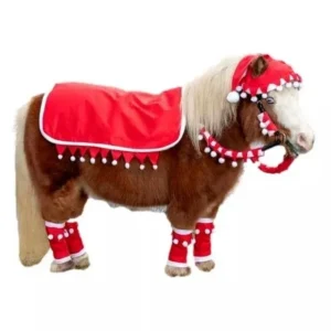 Tough1 Mini 5 Piece Western Santa Set