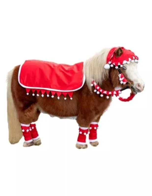 Tough1 Mini 5 Piece Western Santa Set