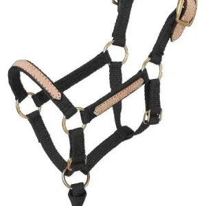 Tough1 Miniature Breakaway Halter