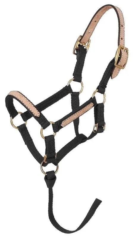Tough1 Miniature Breakaway Halter