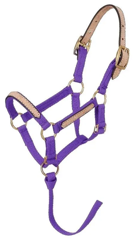 Tough1 Miniature Breakaway Halter - Image 2
