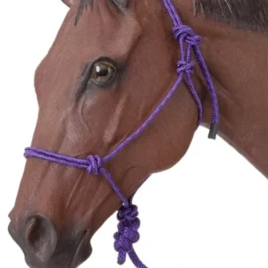 Tough1 Miniature Poly Rope Halter With Lead