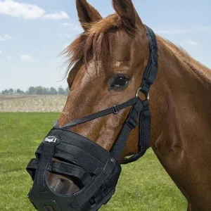 Tough1 Muzzle Replacement Crown/Chin Pad Set