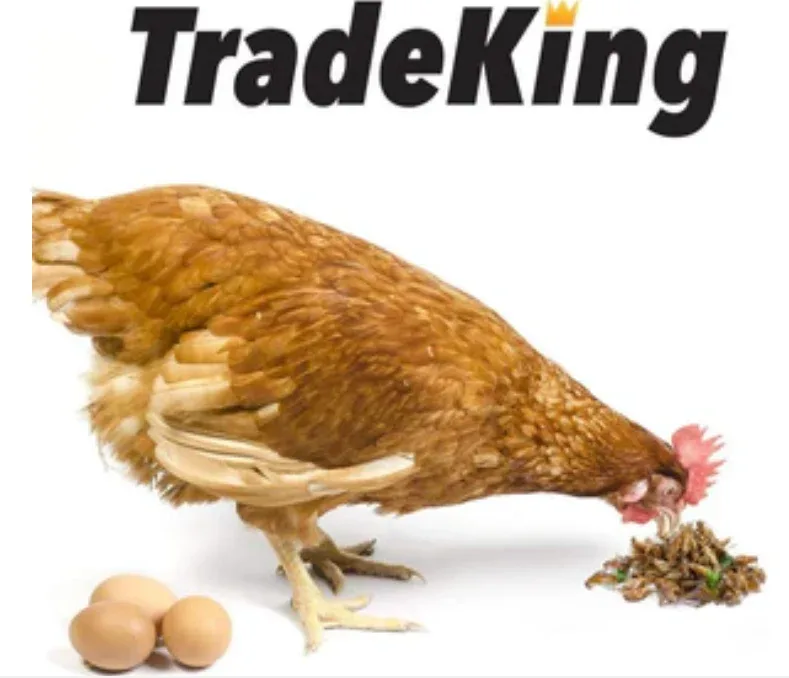 Tradeking Dried Mealworms Wild Bird Food - 11 Lb