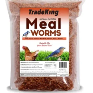 Tradeking Tradeking Dried Mealworms Wild Bird Food - 5 Lbs