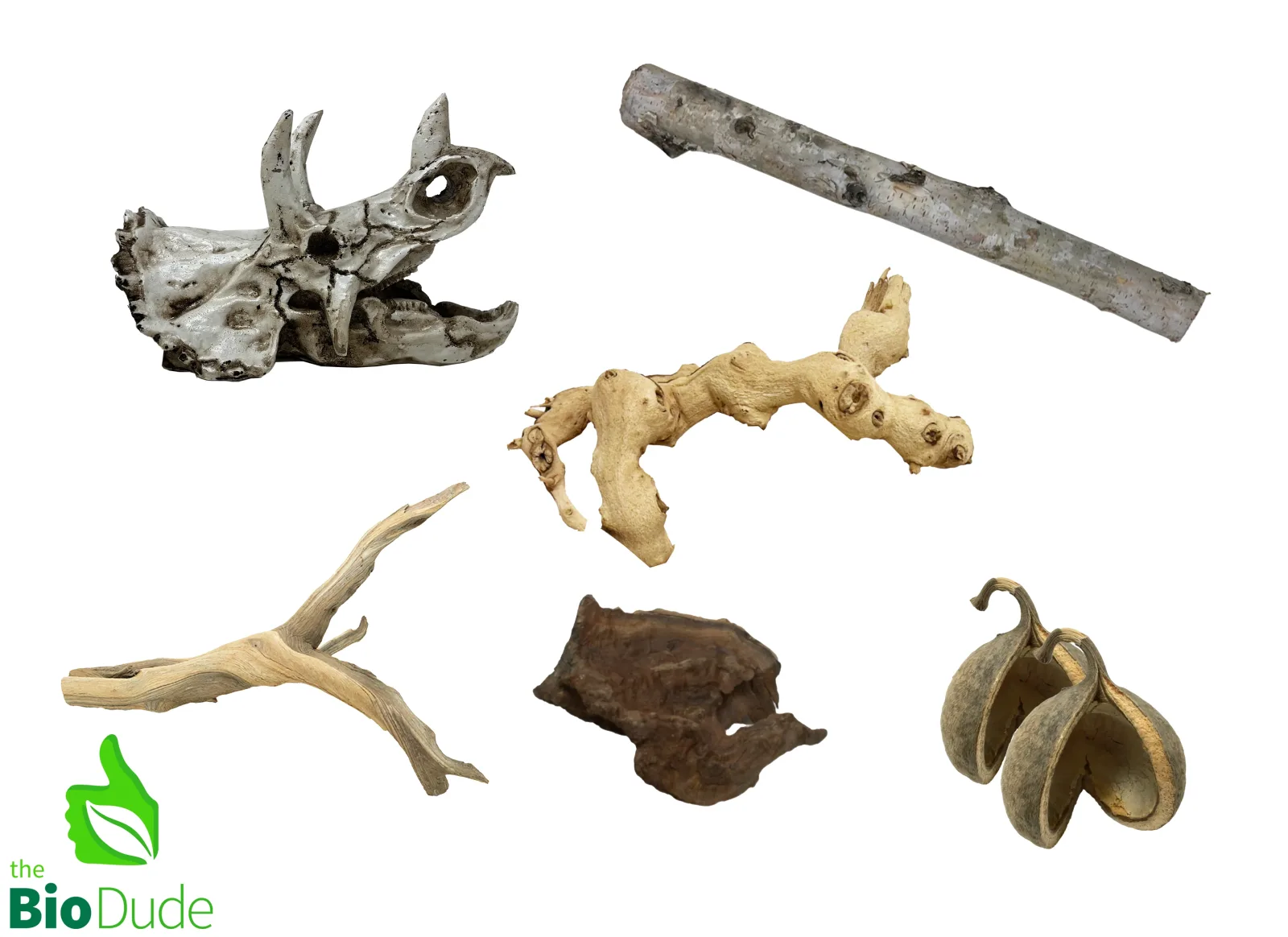 Triceratops Decor Kit for Reptile Enclosures - Image 2