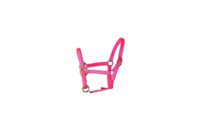Triple E Nylon Mini Adjustable Halter - Image 2