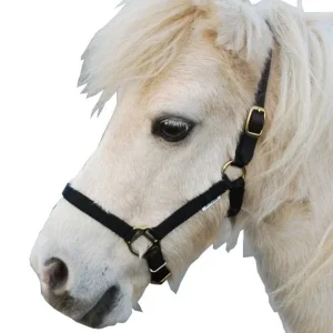Triple E Nylon Mini Halter with Leather Crown