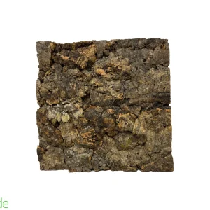 Tropical Cork Background