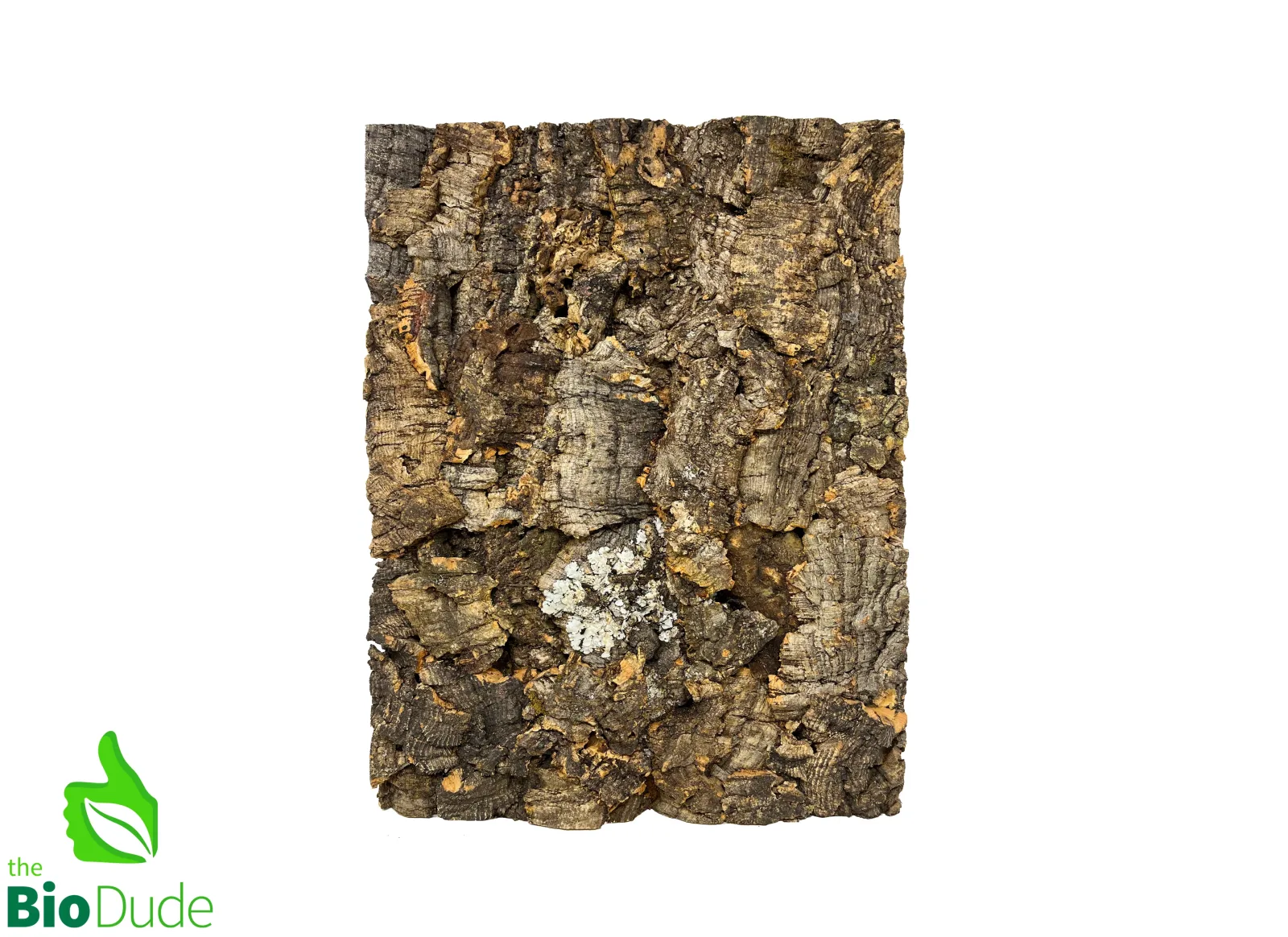 Tropical Cork Background - Image 2