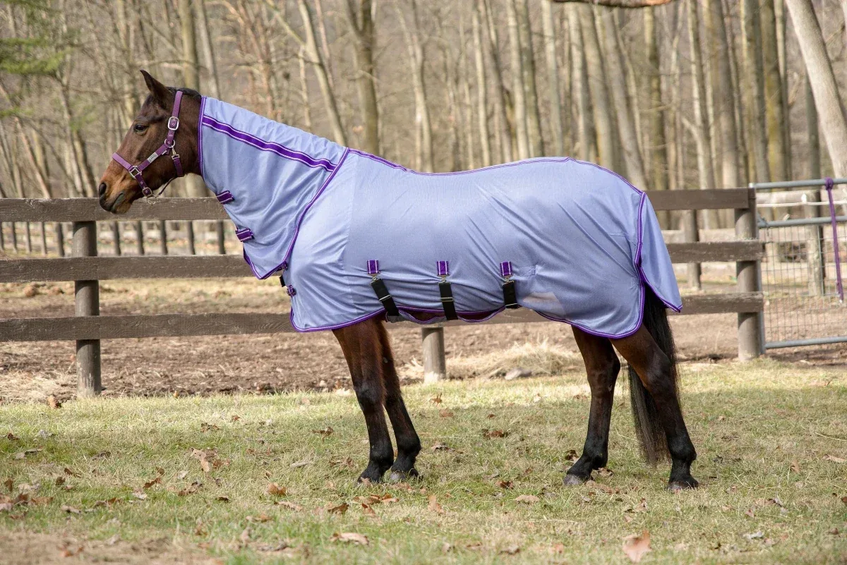 TuffRider Comfy Plus Combo Neck Fly Sheet- Purple with Deep Purple Trim- 69 - Image 2