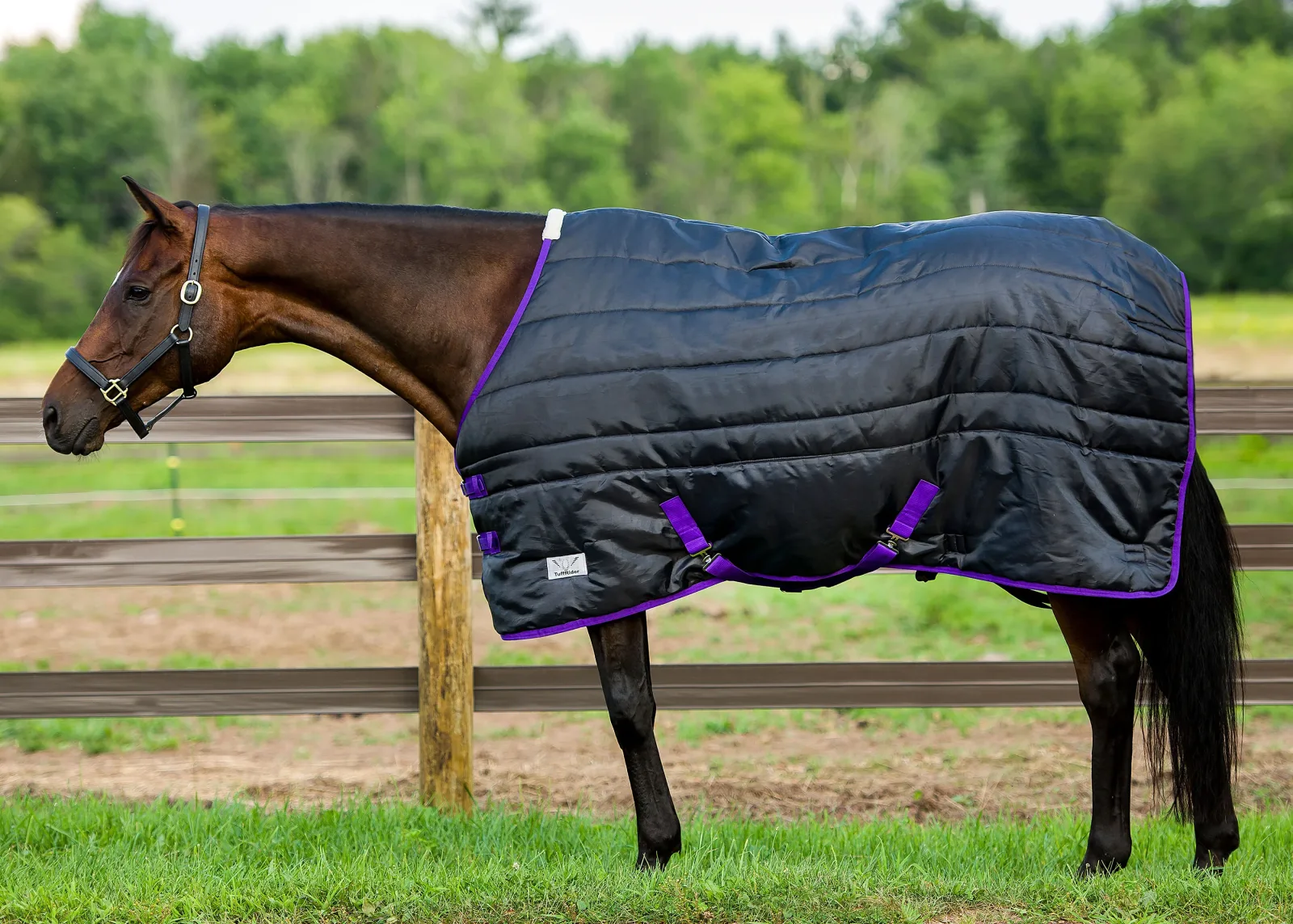TuffRider® Kozy Komfort Stable Blanket