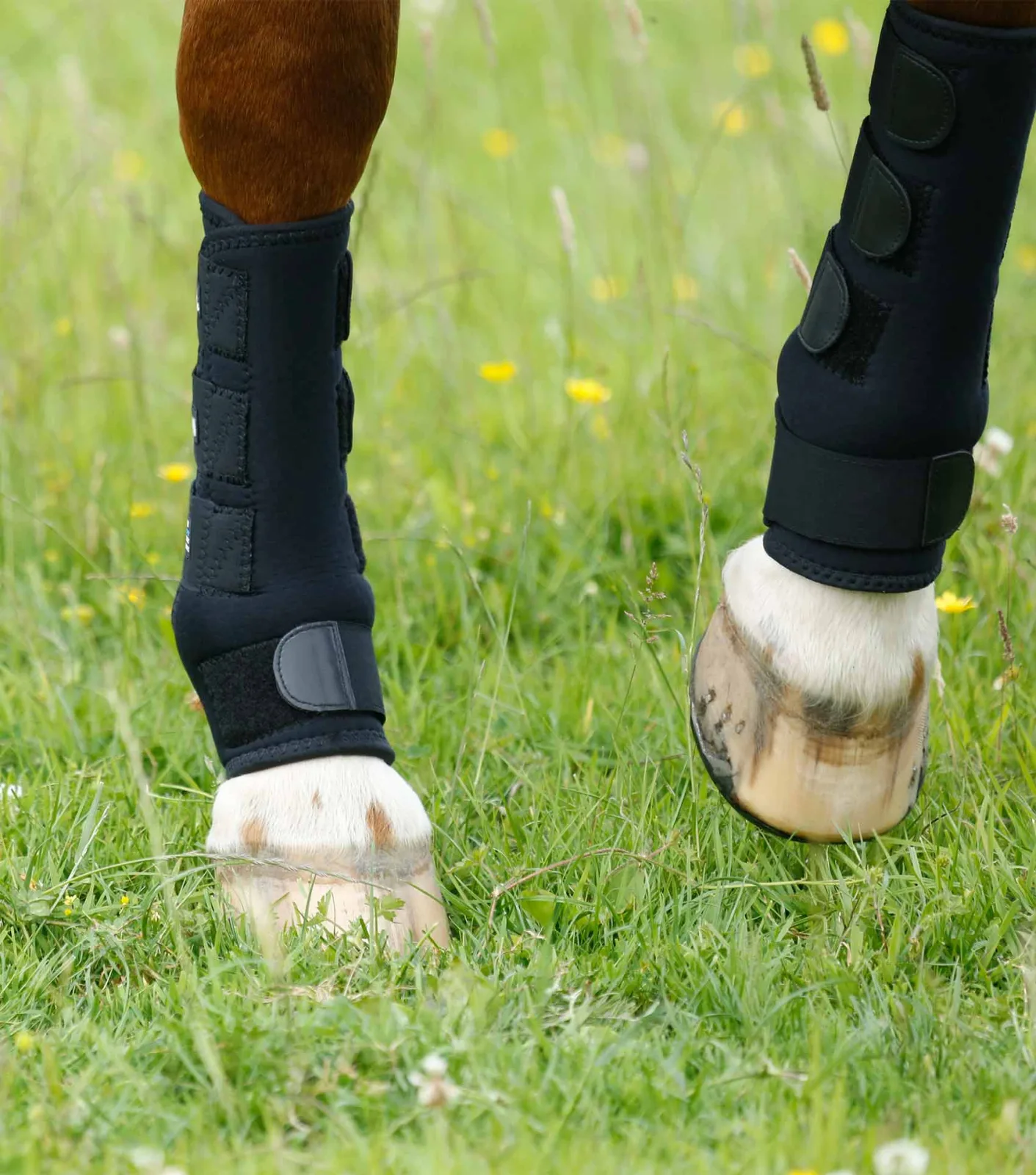 Turnout Boots - Image 2