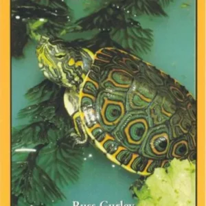 Turtles in Captivity