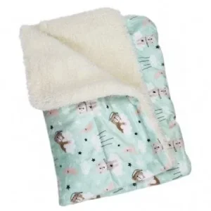 Ultra Soft Minky-Plush Bedtime Bear Blanket