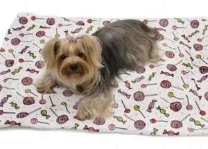Ultra Soft Minky-Plush Sweet Candies Blanket