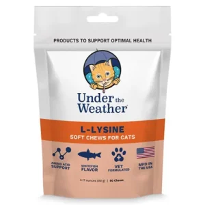 Under The Weather L