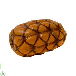 Uxi Pod for Terrariums & Vivariums