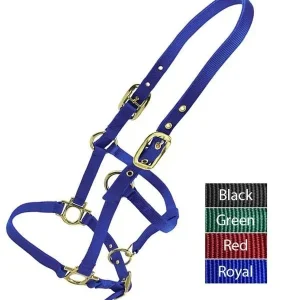 Valhoma Weanling Halter