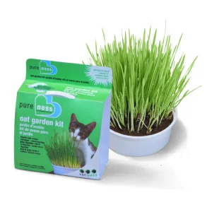 Van Ness Plastics Pureness Oat Garden Kit, 4 oz
