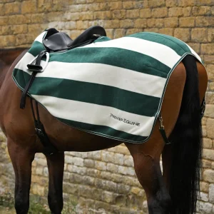 Vellus Horse Fleece Exercise Sheet Green/White