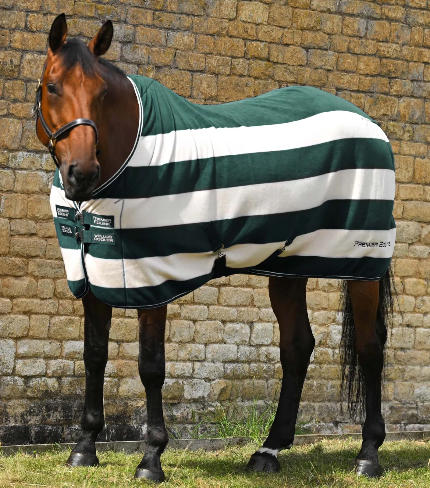 Vellus Horse Fleece Rug Green/White